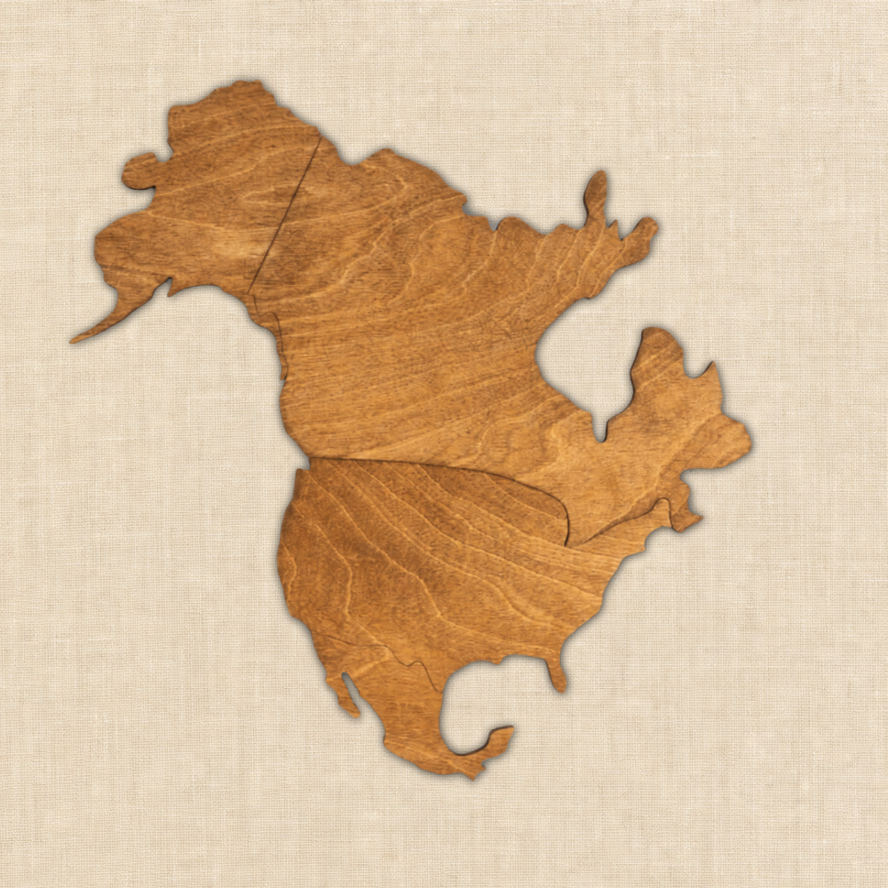 Blank edition wooden world map