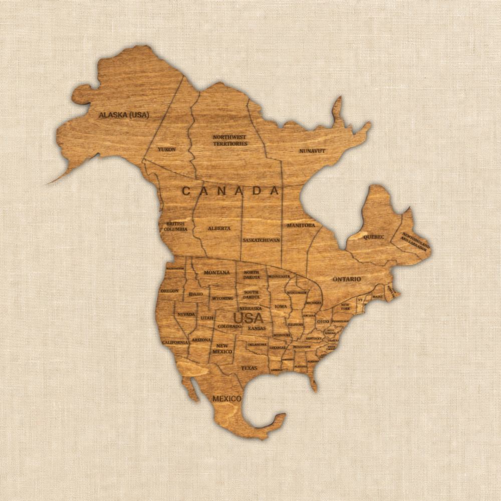 Exclusive edition wooden world map