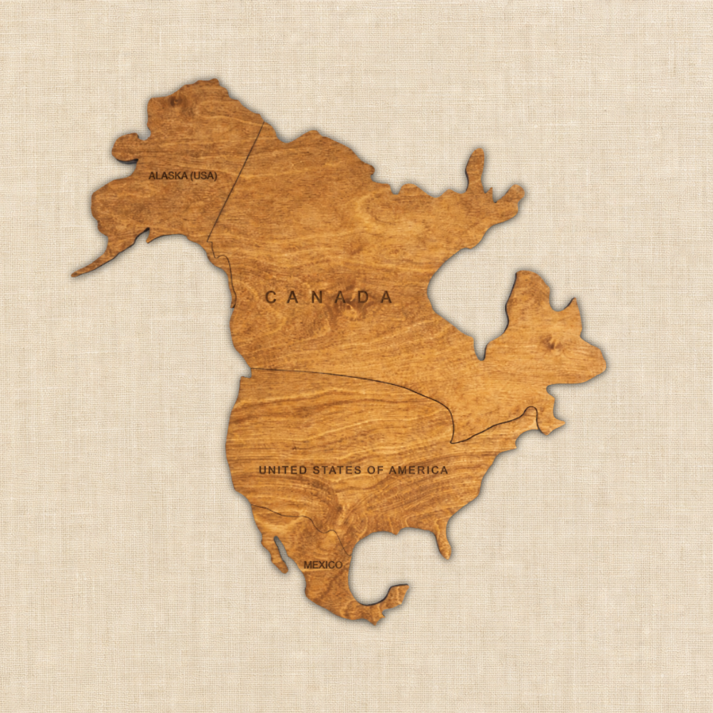 Premium edition wooden world map